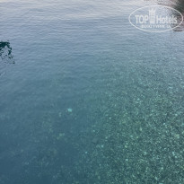 фото из отзыва ID 2705277