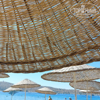 фото из отзыва ID 2705289