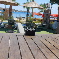 фото из отзыва ID 2705289