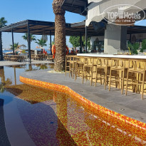 фото из отзыва ID 2705289