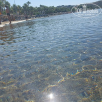 фото из отзыва ID 2705289