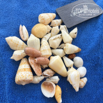 фото из отзыва ID 2705293