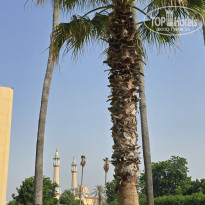 фото из отзыва ID 2705314