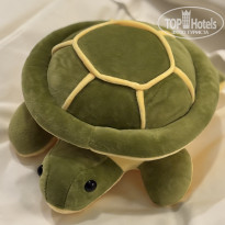 фото из отзыва ID 2705326