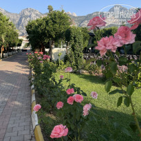 фото из отзыва ID 2705336