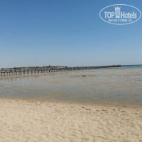 фото из отзыва ID 2705376