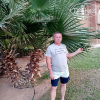 фото из отзыва ID 2705430