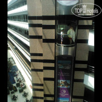 фото из отзыва ID 2704960