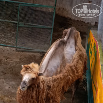 фото из отзыва ID 2705467