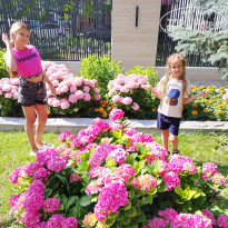 фото из отзыва ID 2705548