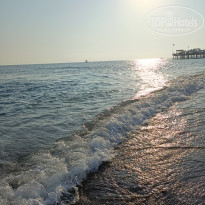 фото из отзыва ID 2705554