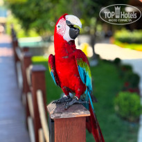 фото из отзыва ID 2705592