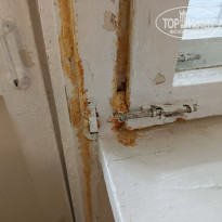 фото из отзыва ID 2705601