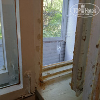 фото из отзыва ID 2705601