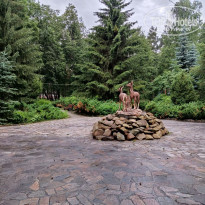 фото из отзыва ID 2705601