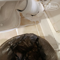 фото из отзыва ID 2705601