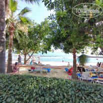 фото из отзыва ID 2705609