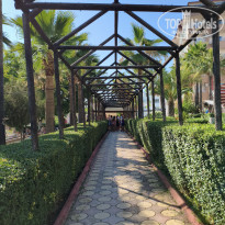 фото из отзыва ID 2705609