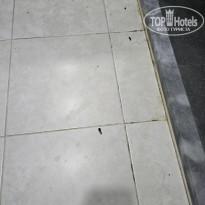 фото из отзыва ID 2705612