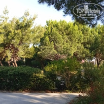 фото из отзыва ID 2705619