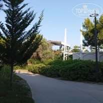 фото из отзыва ID 2705619