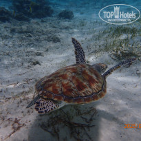 фото из отзыва ID 2705613