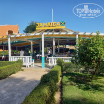 фото из отзыва ID 2705627