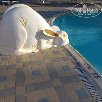 фото из отзыва ID 2705627