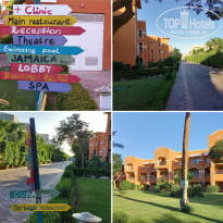 фото из отзыва ID 2705627