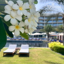 фото из отзыва ID 2705668