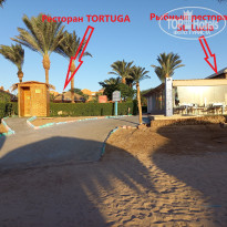 фото из отзыва ID 2705627