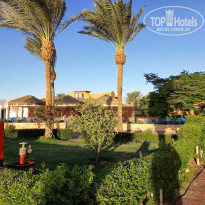 фото из отзыва ID 2705627