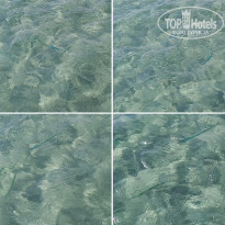 фото из отзыва ID 2705627