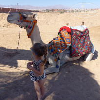 фото из отзыва ID 2705627