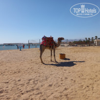 фото из отзыва ID 2705627