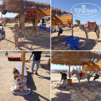 фото из отзыва ID 2705627