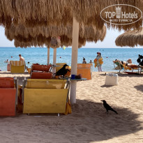 фото из отзыва ID 2705627