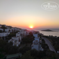 фото из отзыва ID 2705669