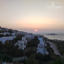 фото из отзыва ID 2705669