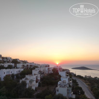 фото из отзыва ID 2705669