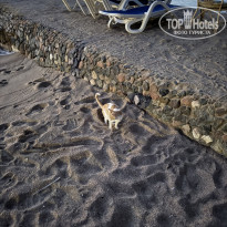 фото из отзыва ID 2705723