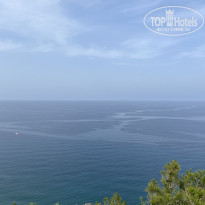 фото из отзыва ID 2705725