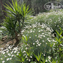 фото из отзыва ID 2705725