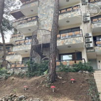 фото из отзыва ID 2705725