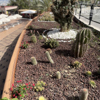 фото из отзыва ID 2705725