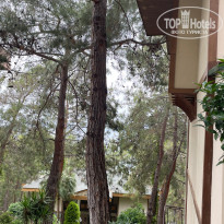 фото из отзыва ID 2705725