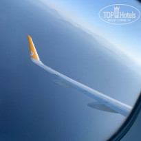 фото из отзыва ID 2705841