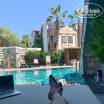 фото из отзыва ID 2705841