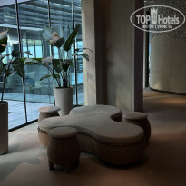 фото из отзыва ID 2705872