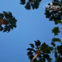 фото из отзыва ID 2705935